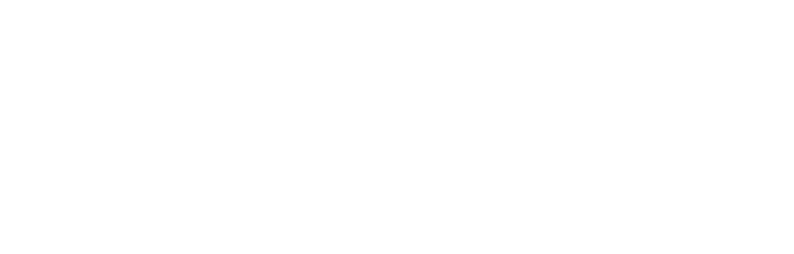 Logo-TS-RM